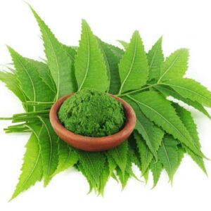 Neem Leaves